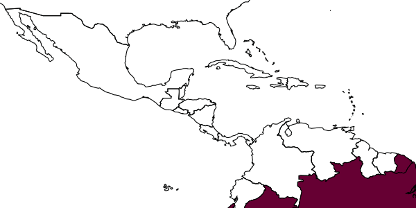 map of Conura santaremensis     (Ashmead, 1904)